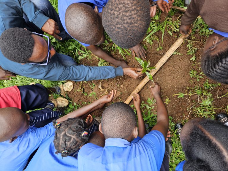 Climate Change Project: Advocating for Environmental Justice in Uganda